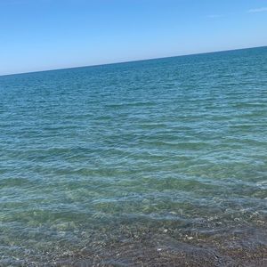 Meet your Posher, Dane